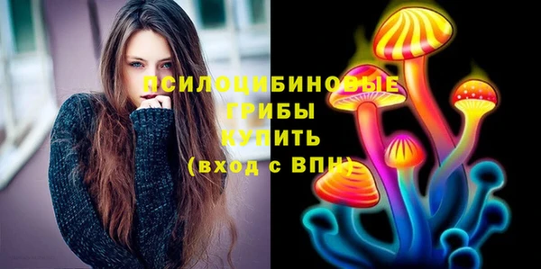 дурь Каменногорск