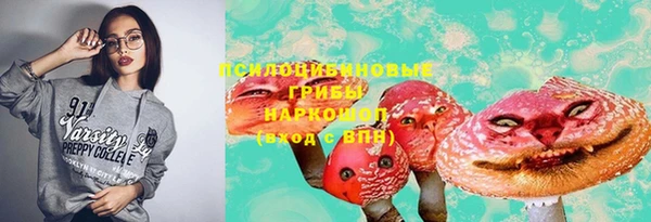 дурь Каменногорск