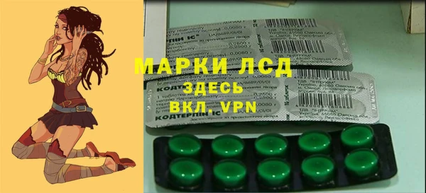 СК Каменка